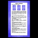 💰 The Wealth Enneagram Oracle / Elegance Formula 🇺🇲